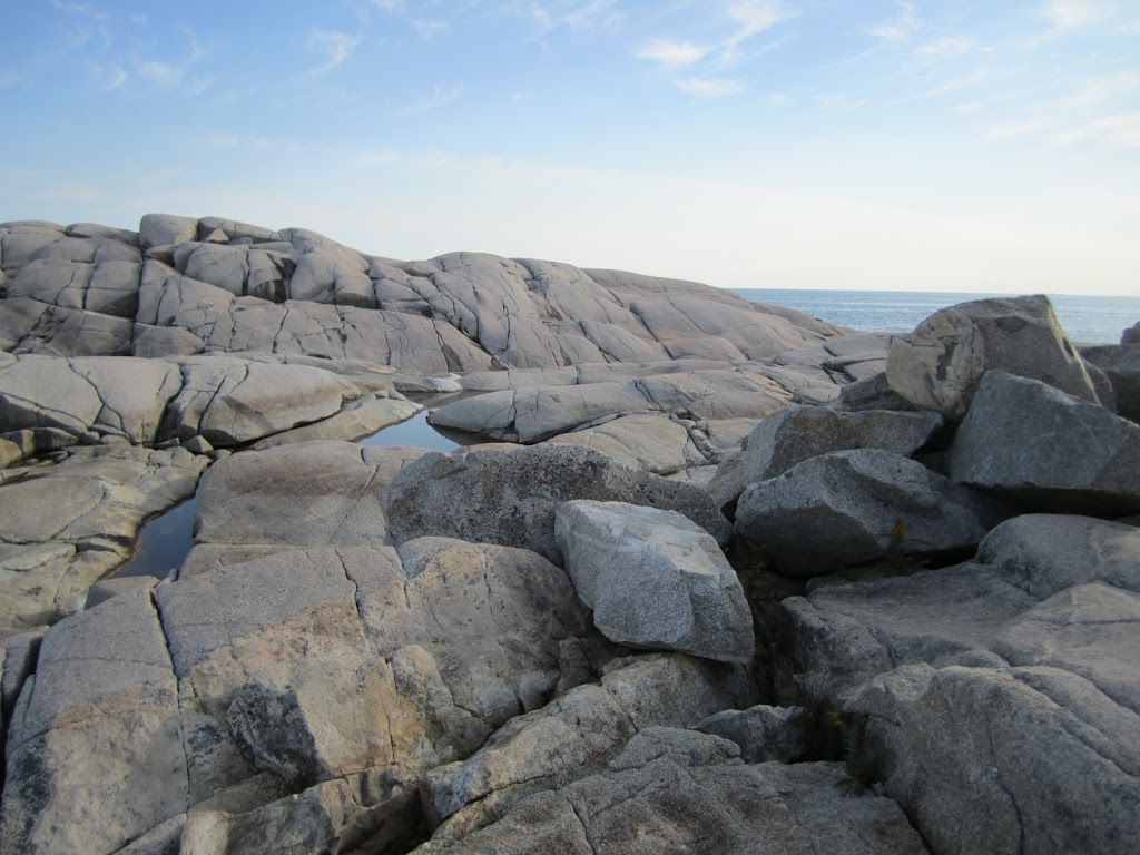 Depew Gallery | 178 Peggys Point Rd, Peggys Cove, NS B3Z 3S2, Canada | Phone: (902) 823-3333