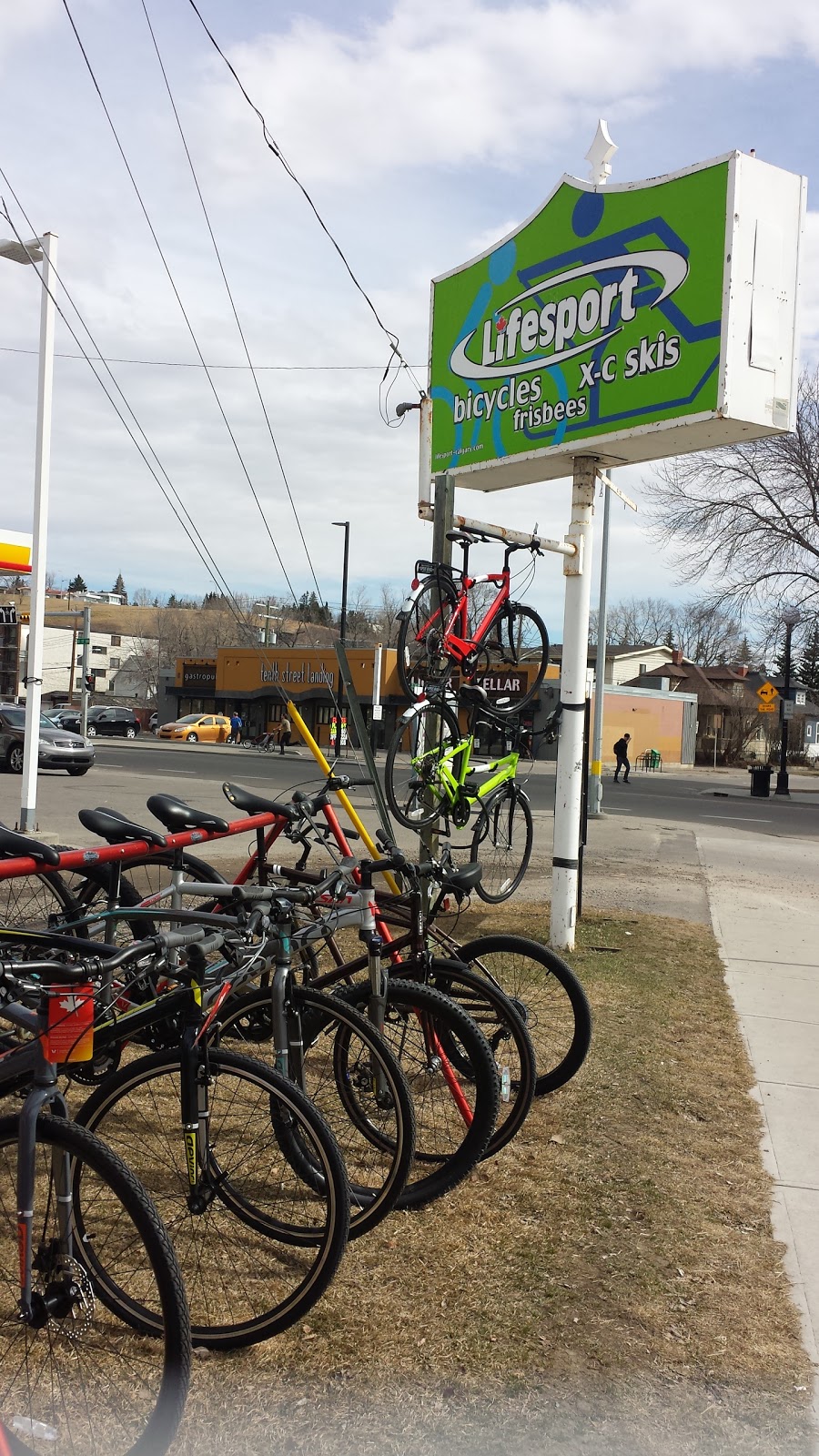 Lifesport | 1110 Gladstone Rd NW, Calgary, AB T2N 3E7, Canada | Phone: (403) 270-4501