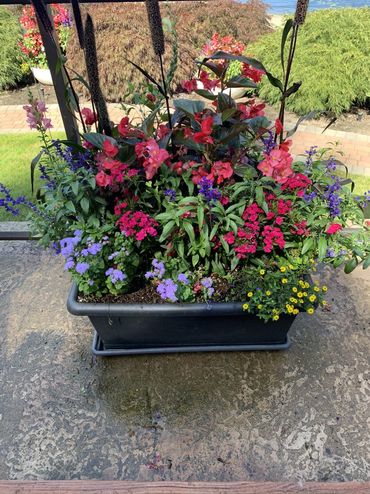 Sol Landscaping | 2456 Selwyn Rd, Victoria, BC V9B 3K8, Canada | Phone: (250) 920-8651