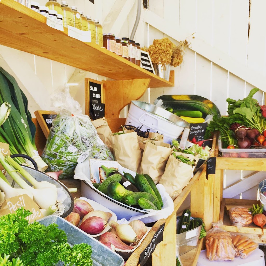 Les légumes sur la butte | 1350 Rte St Alphonse, Saint-Bruno, QC G0W 2L0, Canada | Phone: (418) 719-2207