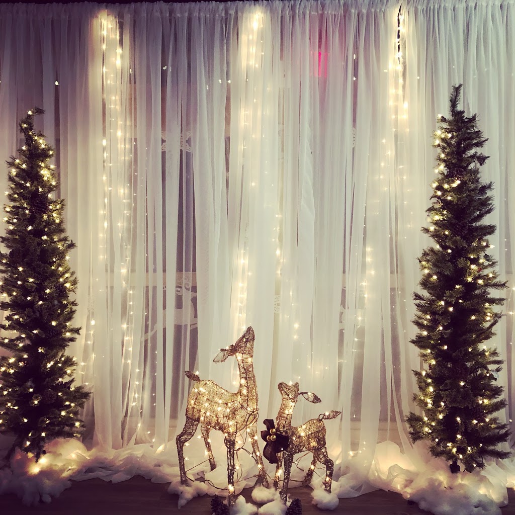 PartyTree Events | 44335 Yale Rd, Chilliwack, BC V2R 4H2, Canada | Phone: (604) 506-6038