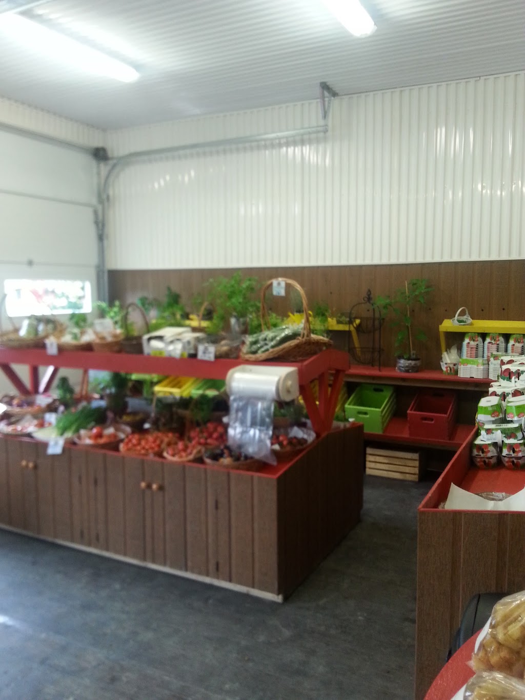 Jardins baie lactee | 1254 Chemin St Joseph, La Baie, QC G7B 3N9, Canada | Phone: (418) 446-1547