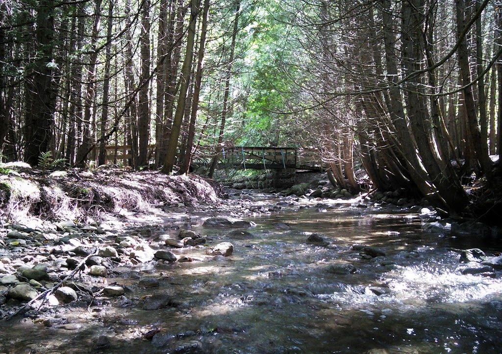 Proctor Park Conservation Area | 96 Young St, Brighton, ON K0K 1H0, Canada | Phone: (613) 394-4829