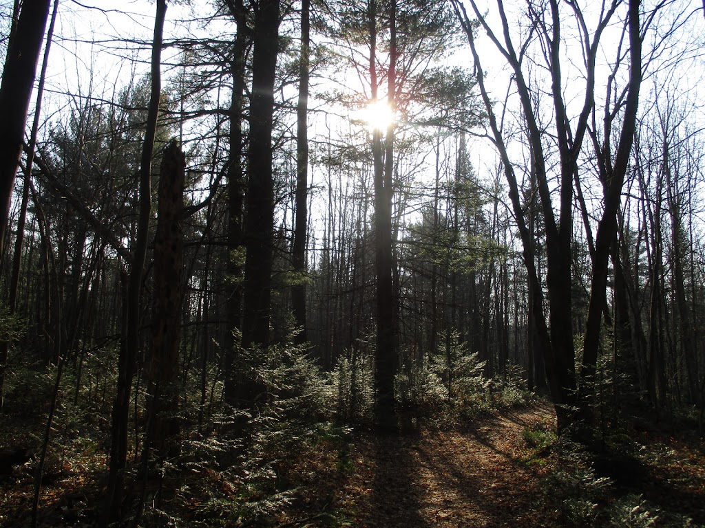 Boisé du Plan Bouchard | Plan-Bouchard, Blainville, QC J0N 1H0, Canada