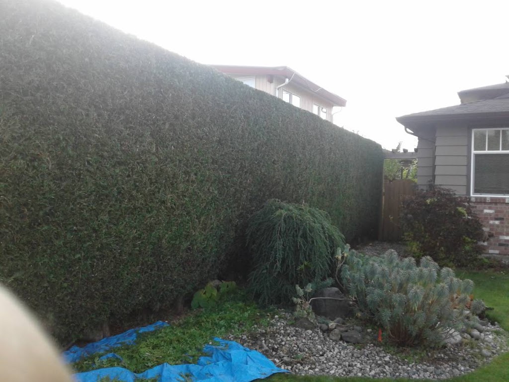 Hedge PRO Trimming | 231 Eighth St #304, New Westminster, BC V3M 3P8, Canada | Phone: (604) 417-4211