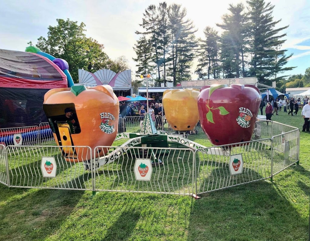 Georgian Triangle Amusements | 10138 ON-26, Collingwood, ON L9Y 3Z1, Canada | Phone: (705) 888-5331