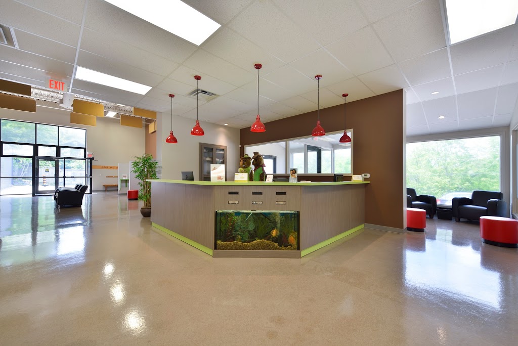 Smile Town | 5 Meadowcreek Ln, Cambridge, ON N3H 4R8, Canada | Phone: (519) 749-9981