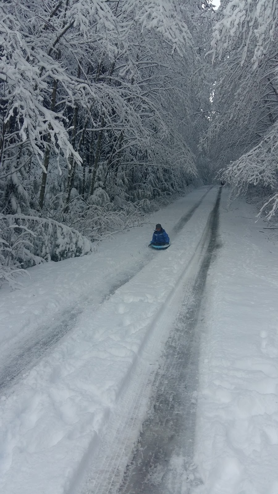 Sprockids park | 1235 Stewart Rd, Gibsons, BC V0N 1V0, Canada | Phone: (604) 885-6800