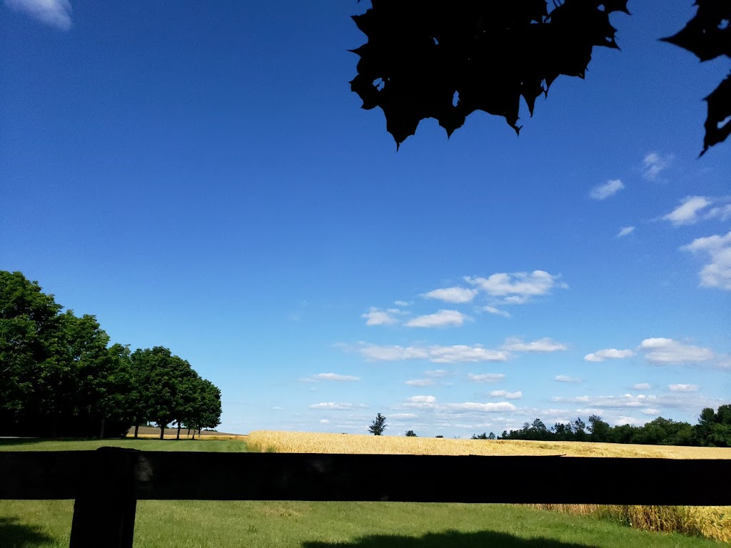 Am Braigh Farm | 873393 Fifth Line EHS, Mono, ON L9W 6A5, Canada | Phone: (519) 217-8549