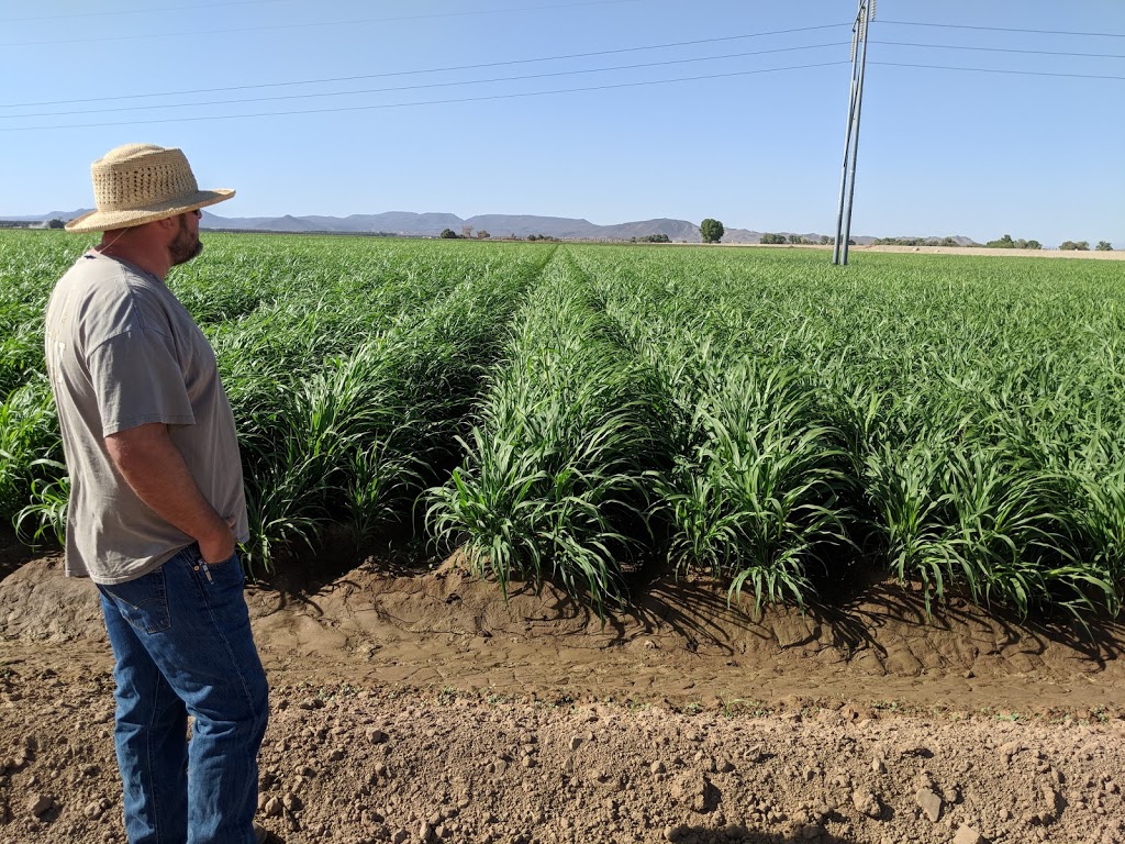 Agriculture Environmental Renewal Canada (AERC) Inc. | 821 Corkstown Rd, Nepean, ON K2K 2Y1, Canada | Phone: (613) 596-5927