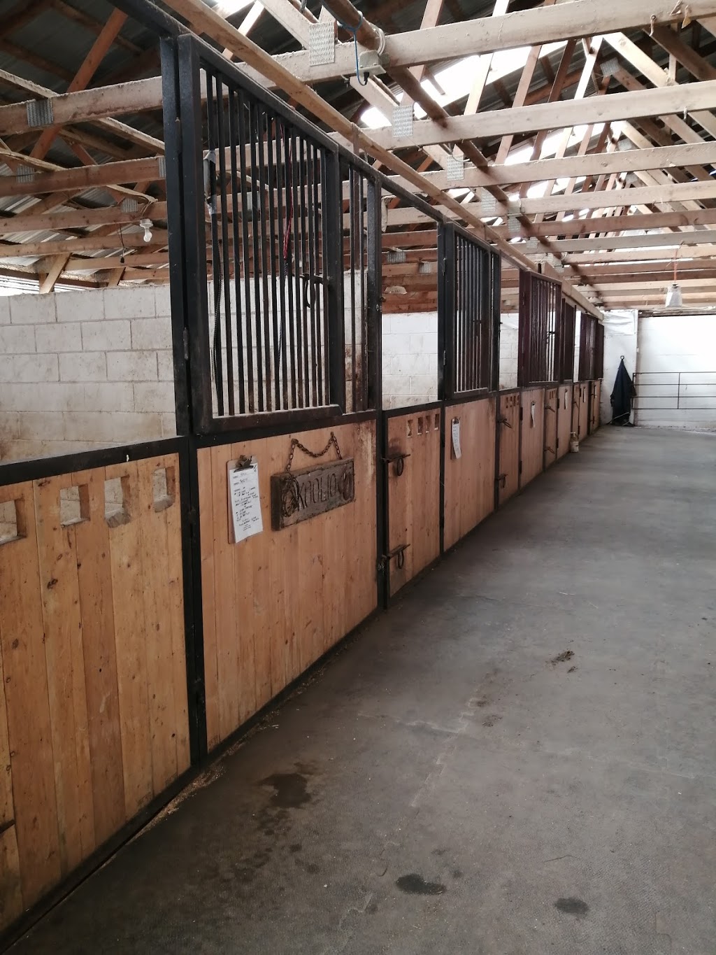 Teixeira Performance Stables | 6741 60 St NE, Canoe, BC V0E 1K0, Canada | Phone: (250) 803-6003
