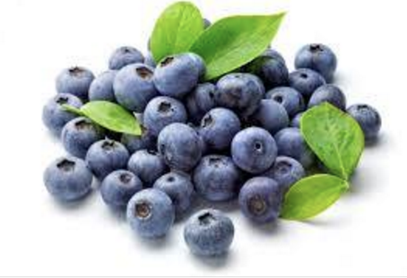 Twin berry - NRK Sahota Blueberry Farms Ltd | 19478 Old Dewdney Trunk Rd, Pitt Meadows, BC V3Y 2S1, Canada | Phone: (778) 658-0406
