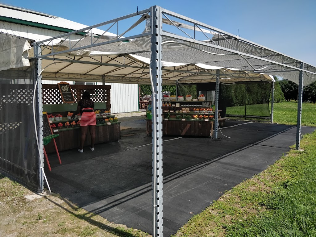 Warner Orchards | 5151 N Service Rd, Beamsville, ON L0R 1B3, Canada | Phone: (289) 432-9647