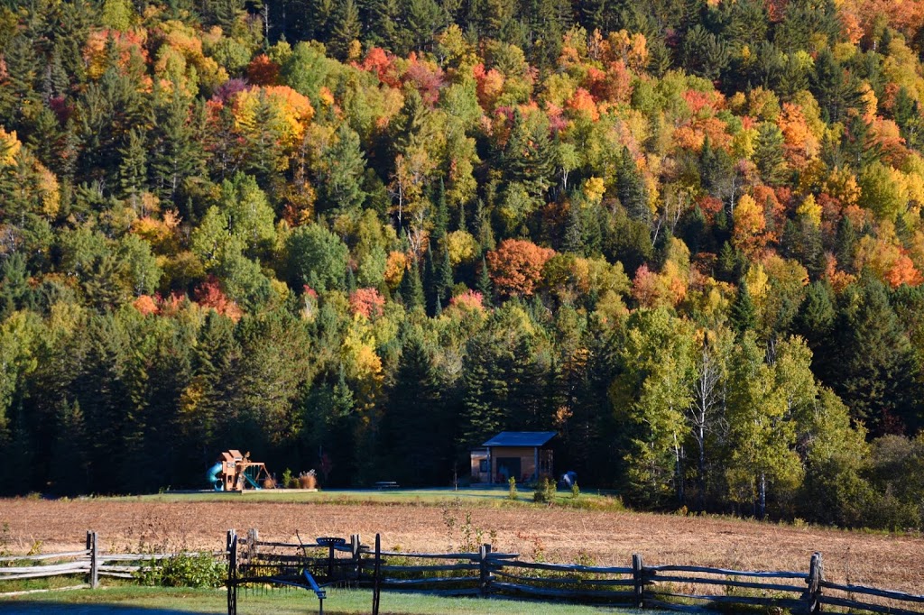 Gollé Goulu | 1300 Rang des Venne, Saint-Côme, QC J0K 2B0, Canada | Phone: (514) 972-2341