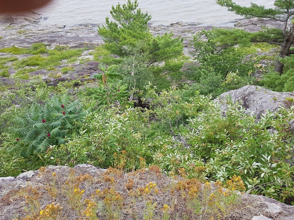 The Irish Cemetery | 48 La Grosse-Île, LIsle-aux-Grues, QC G0R 1P0, Canada | Phone: (888) 773-8888