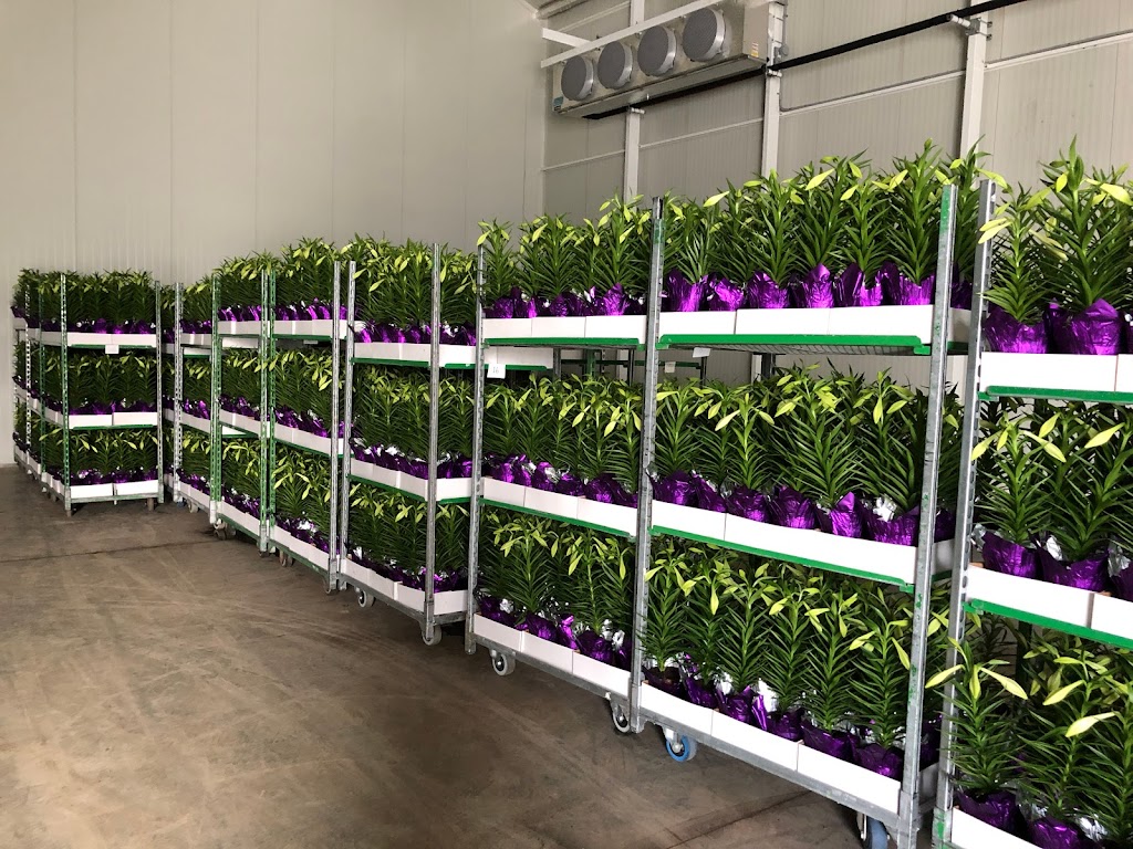 Devry Greenhouses | 49259 Castleman Road, Chilliwack, BC V2P 6H4, Canada | Phone: (604) 794-3874