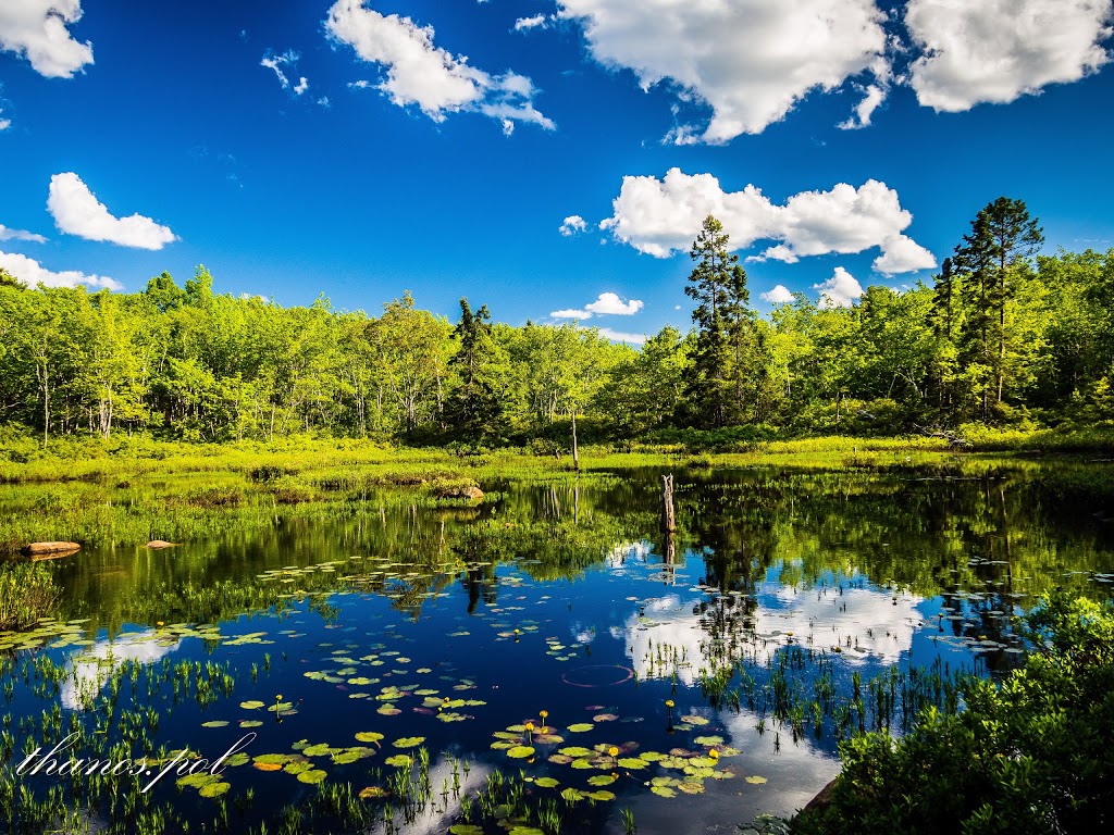 Frog Pond Park | Purcells Cove Rd, Halifax, NS B3P, Canada