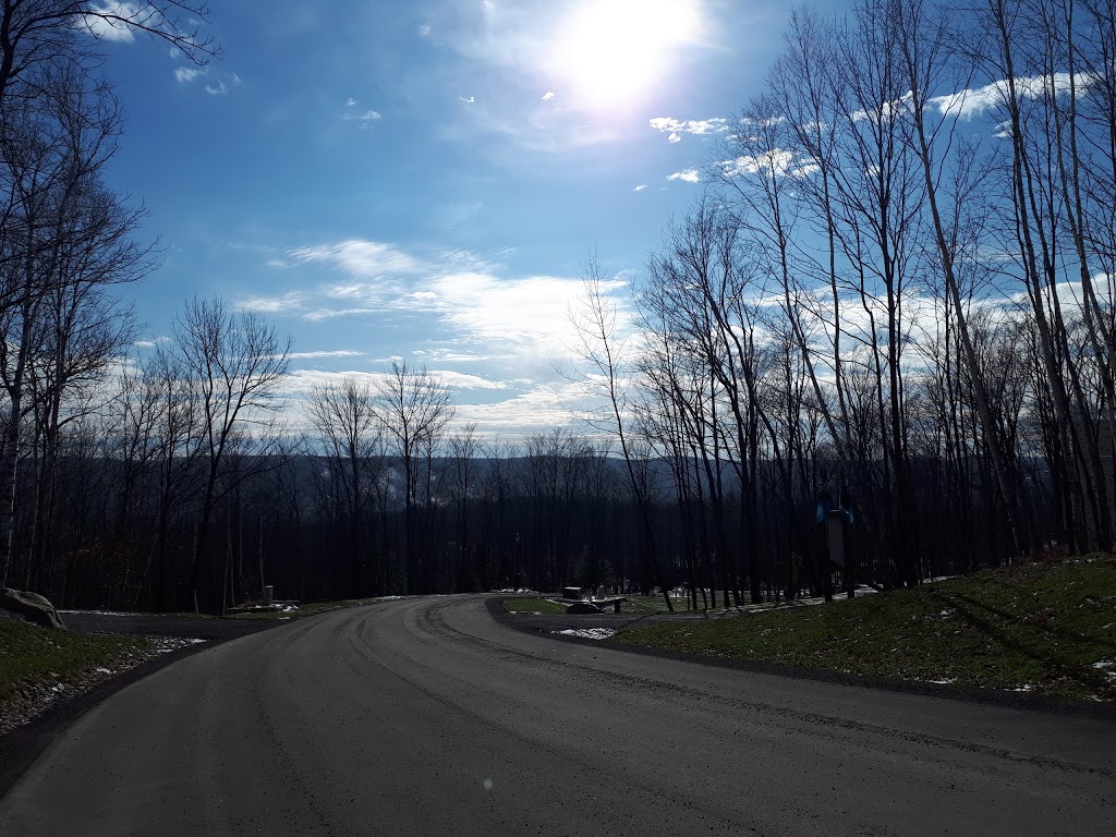 Extermination Des Monts | 668 Chemin des Bouleaux, Saint-Sauveur, QC J0R 1K0, Canada | Phone: (450) 227-0997