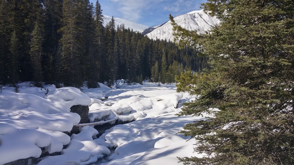 Numa Creek | Kootenay National Park, Numa Creek Trail, Spillimacheen, BC V0A 1J0, Canada | Phone: (250) 347-9505
