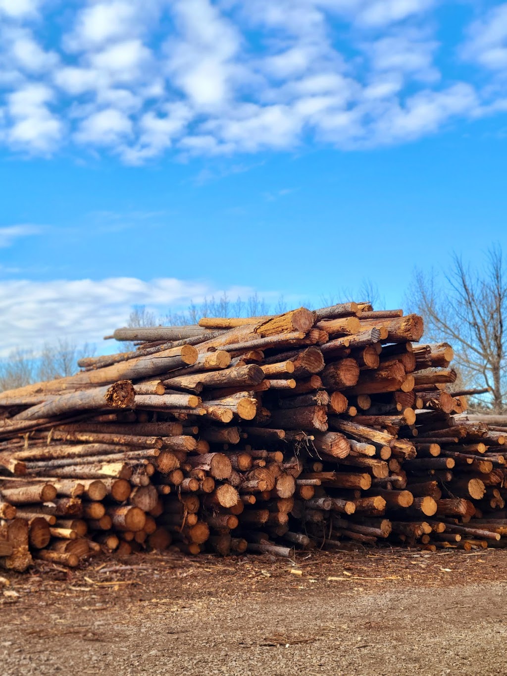 Camrose Landscape Supplies | 4102 44 Ave, Camrose, AB T4V 4K5, Canada | Phone: (780) 672-9718