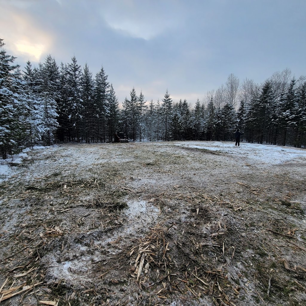 Rykon Forestry Mulching | 245 Brock Concession Rd 2, Sunderland, ON L0C 1H0, Canada | Phone: (289) 383-5789
