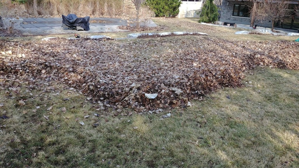 Bright Lawn & Garden | 43 Glass Dr, Aurora, ON L4G 2E6, Canada | Phone: (905) 713-9352