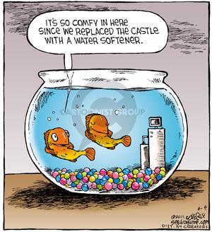 Quinn Water System | Free Consultation | 347209 Mono Centre Rd, Mono, ON L9W 6S3, Canada | Phone: (647) 779-7910
