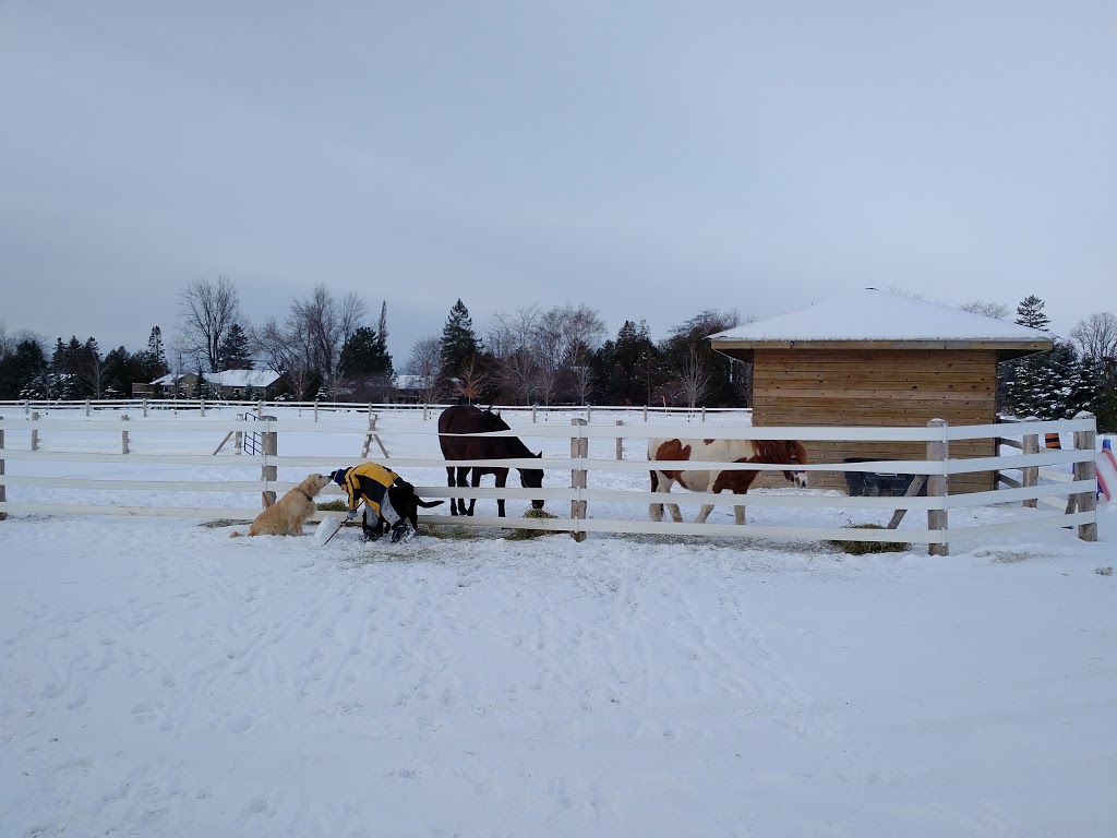 Highland Fence & Supply Inc | 804075 Road 80, Embro, ON N0J 1J0, Canada | Phone: (519) 475-4868