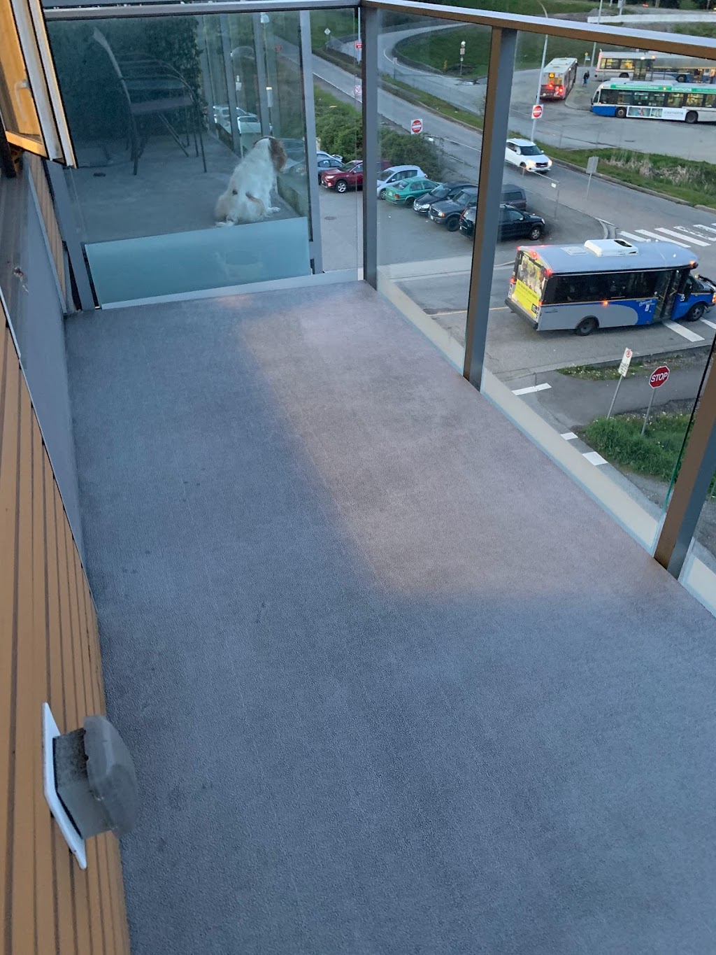 Carewell Maintenance Services Inc. Residential & Commercial Janitorial Services | 205 Carnarvon St, New Westminster, BC V3L 1B7, Canada | Phone: (604) 337-7538
