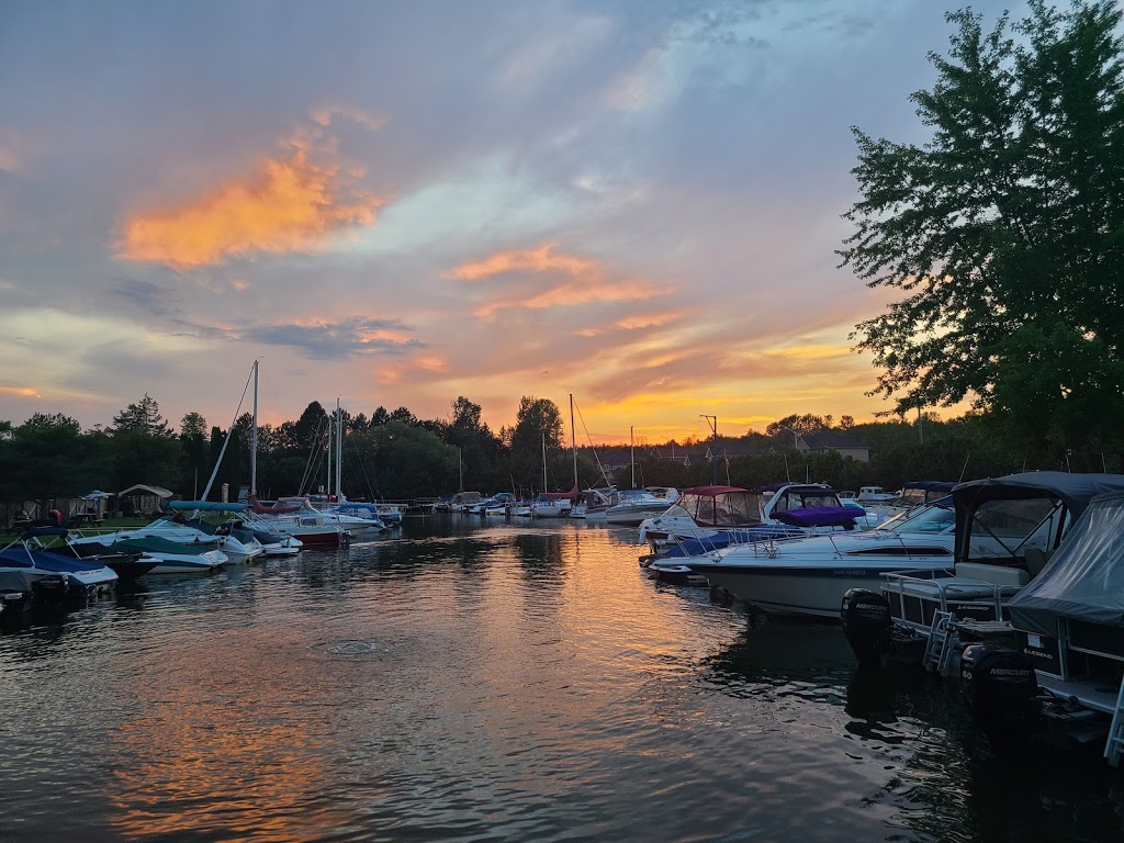Cooks Bay Marina | 1155 Gilford Rd, Gilford, ON L0L 1R0, Canada | Phone: (705) 456-6212