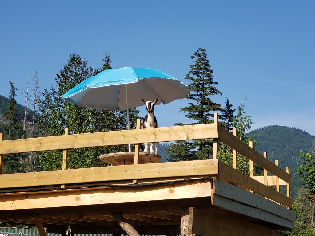 Mission Horse Boarding | 14323 Kontney Rd, Mission, BC V2V 0B8, Canada | Phone: (604) 785-7720