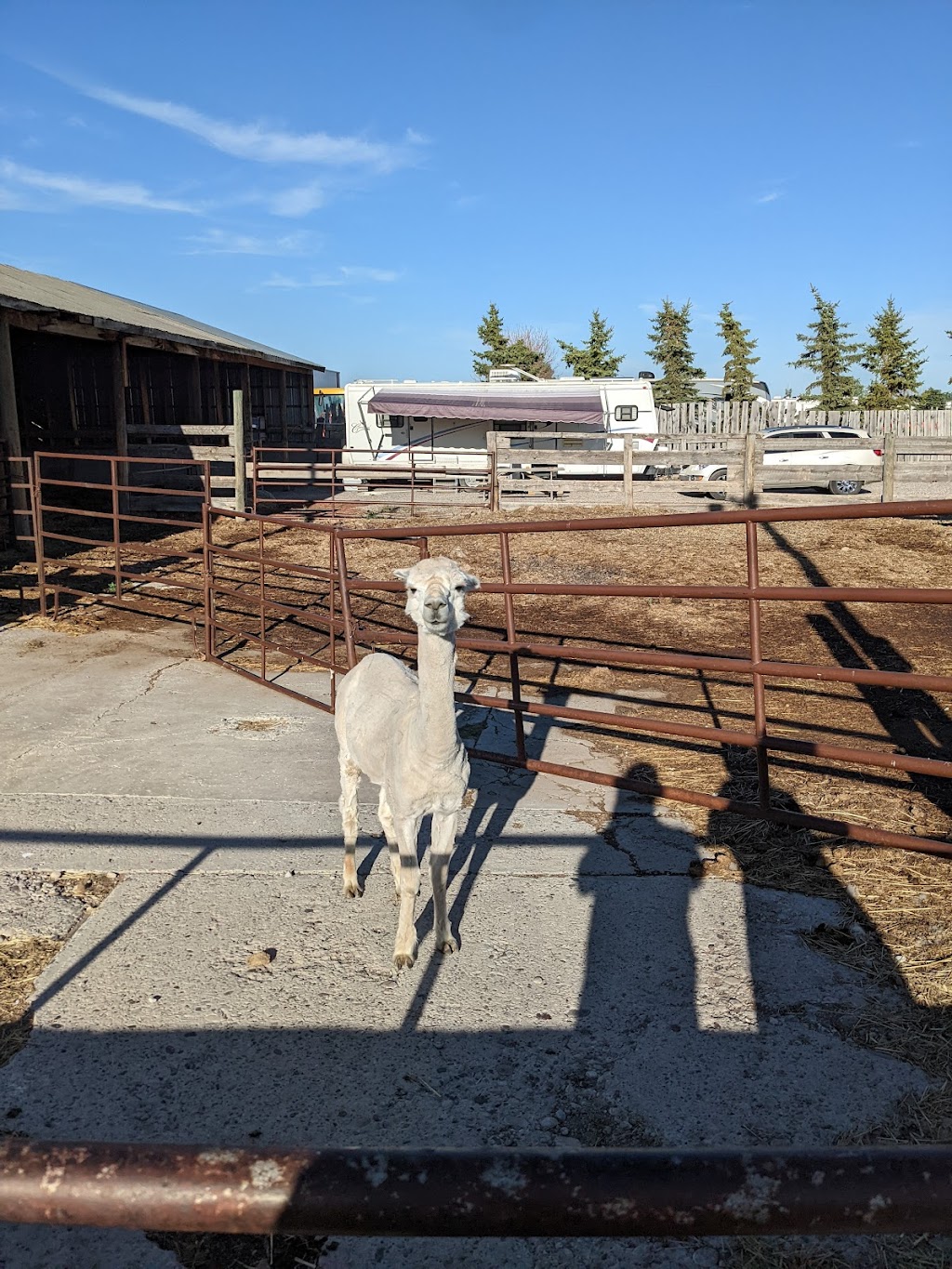 Elbas Farms Vacation Cottages and RV Park | Howe Rd, Lethbridge, AB T1J 5P9, Canada | Phone: (403) 329-8181