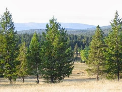 Madera Ranch | Green Rd, Newgate, BC V0B 1T7, Canada | Phone: (587) 317-5842