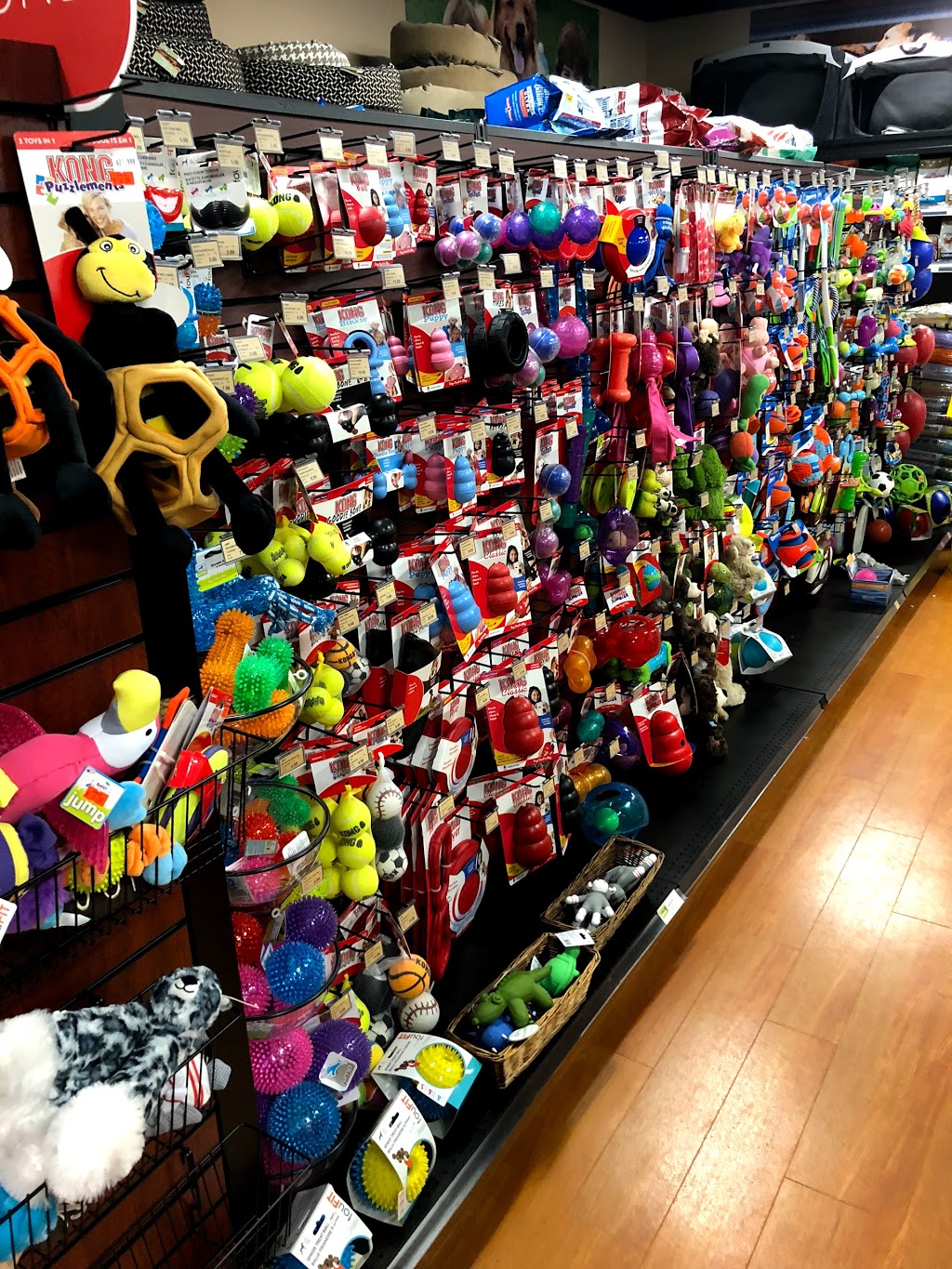 Bosleys by Pet Valu | 6466 176 St #400, Surrey, BC V3S 4G3, Canada | Phone: (604) 576-6377