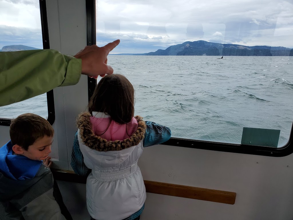 Orcas Island Whale Watch and Deer Harbor Charters | 5164 Deer Harbor Rd, Deer Harbor, WA 98243, USA | Phone: (360) 376-5989