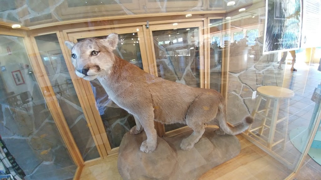 Cape Jourimain Nature Centre | 5039 NB-16, Bayfield, NB E4M 3Z8, Canada | Phone: (866) 538-2220