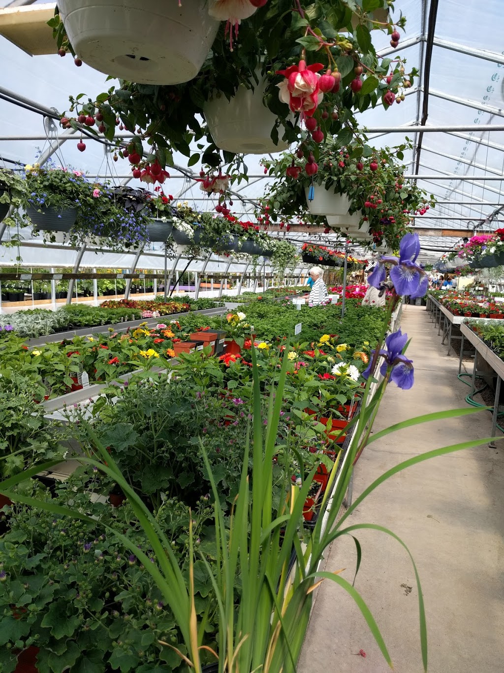 Lowland Gardens | 8844 Nova Scotia Trunk 2, Great Village, NS B0M 1L0, Canada | Phone: (902) 668-2309