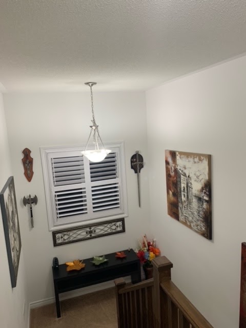 StarDust Sleepovers | 155 Werry Ave, Dundalk, ON N0C 1B0, Canada | Phone: (438) 889-9192