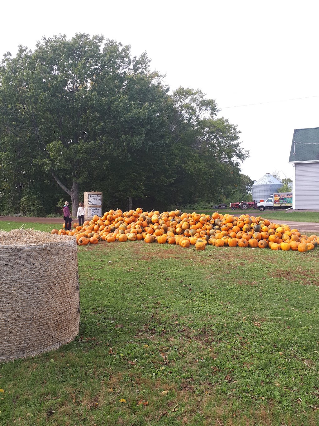 Comptons Vegetable Stand | 268 All Weather Hwy, Summerside, PE C1N 4V4, Canada | Phone: (902) 315-2751