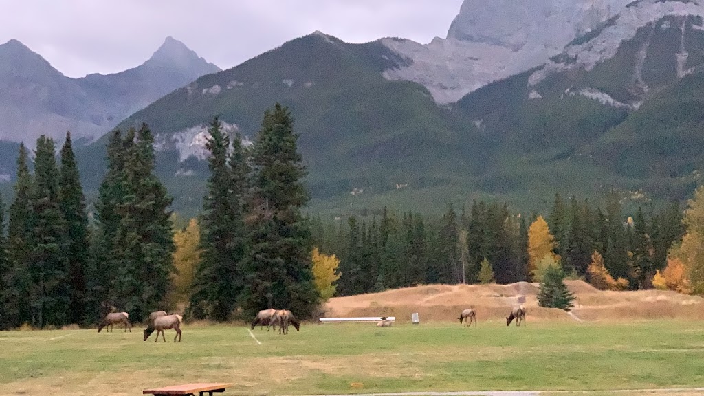 Millennium Park | Canmore, AB T1W 3B9, Canada | Phone: (403) 678-8920