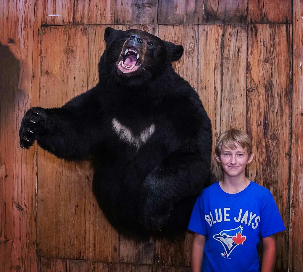 Brain’s Taxidermy | 37 14 Line N N, Orillia, ON L3V 8J3, Canada | Phone: (705) 327-7889