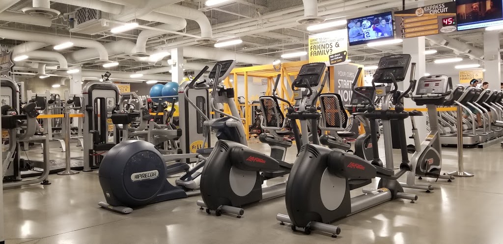 Fit4Less | 710 Proudfoot Ln, London, ON N6H 5G5, Canada | Phone: (519) 641-1397