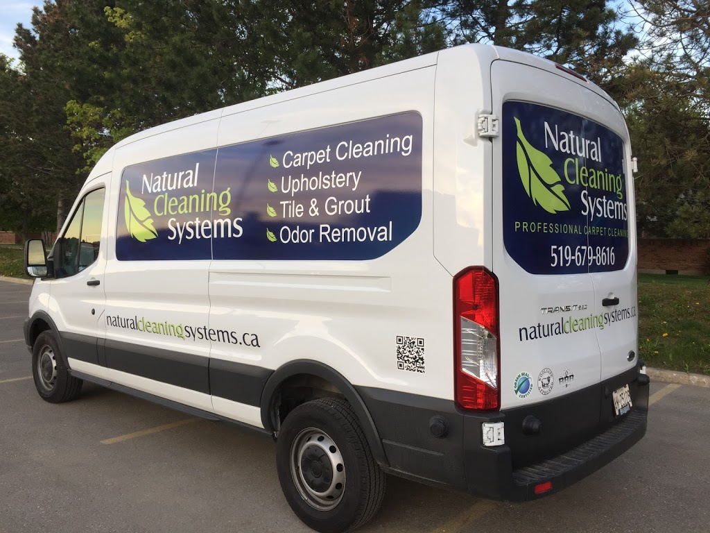 Natural Cleaning Systems | 70 Sunnyside Dr #26, London, ON N5X 3W4, Canada | Phone: (519) 679-8616