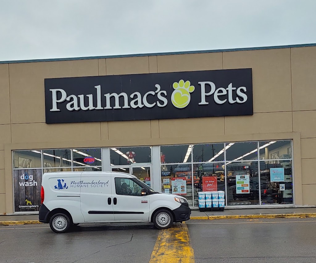 Northumberland Humane Society | 371 Ward St, Port Hope, ON L1A 4A4, Canada | Phone: (905) 885-4131