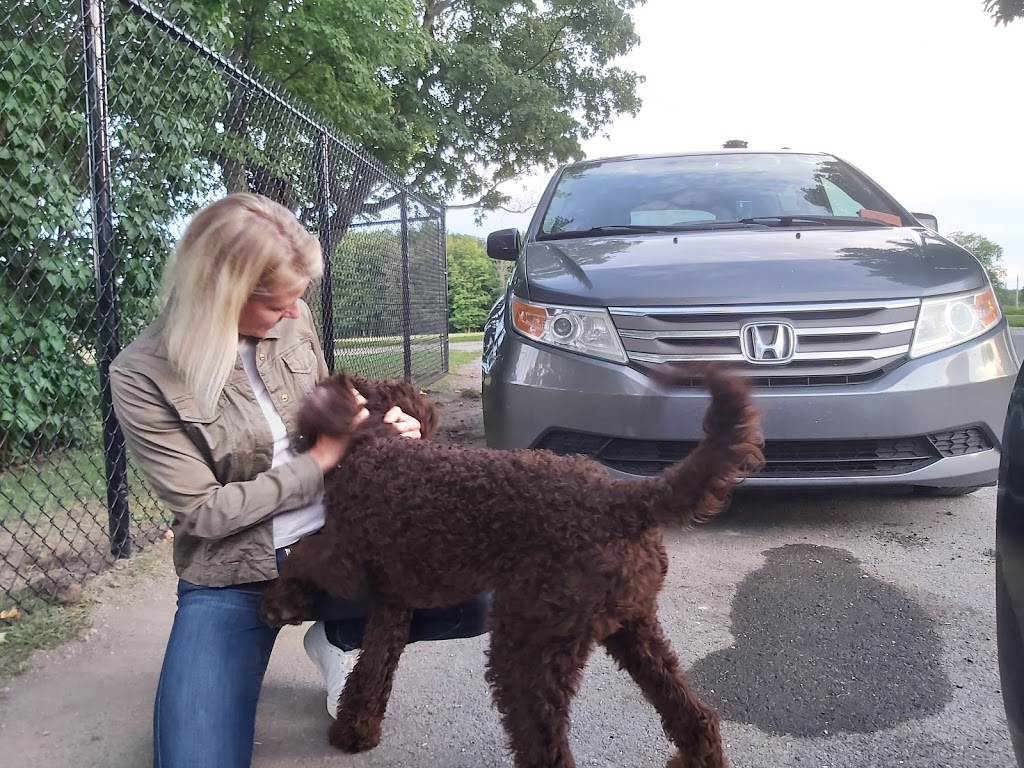Alpha services Canin, Dressage de chien | 851 Rue Scott, Granby, QC J2H 0L1, Canada | Phone: (450) 531-8018
