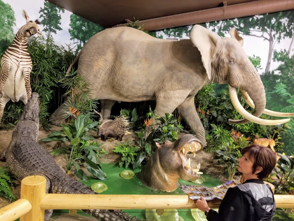 Sundre Museum & Wildlife Exibit | 211 1 Ave SW, Sundre, AB T0M, Canada | Phone: (403) 638-3266