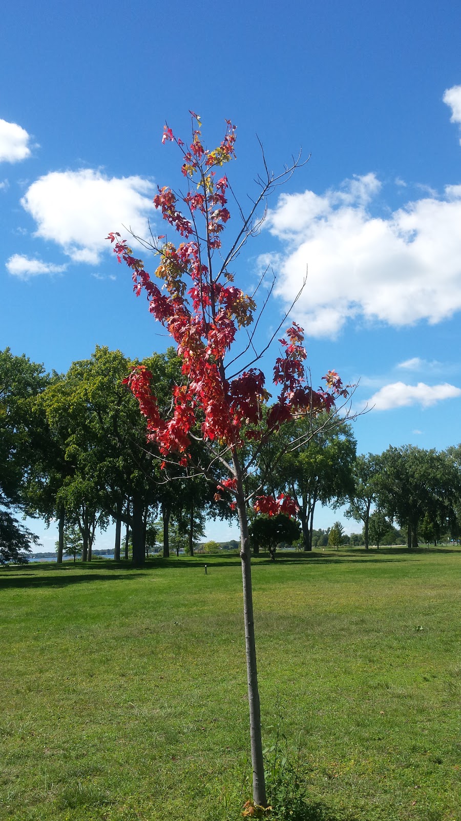 Nature Center | 31300 Metro Pkwy, Harrison Charter Township, MI 48045, USA | Phone: (586) 463-4332