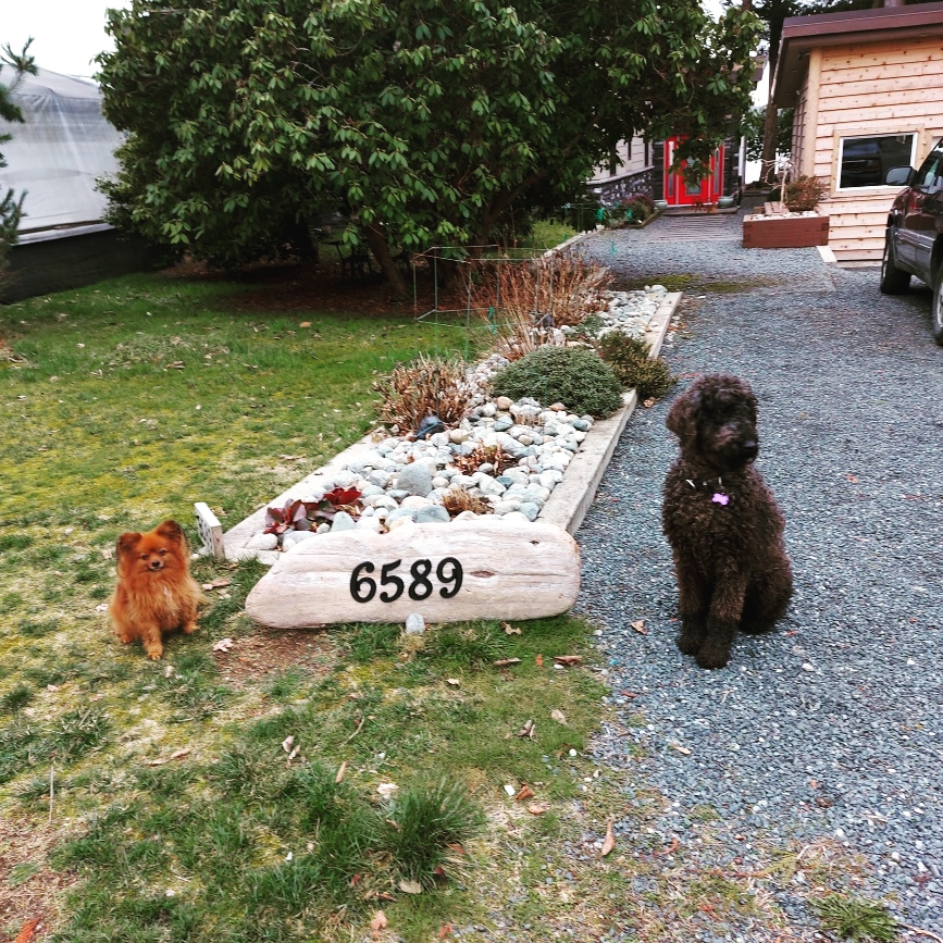 Profiles Inc Brad and Moe | 6589 Klahanie Dr, Powell River, BC V8A 0C1, Canada | Phone: (778) 338-8014