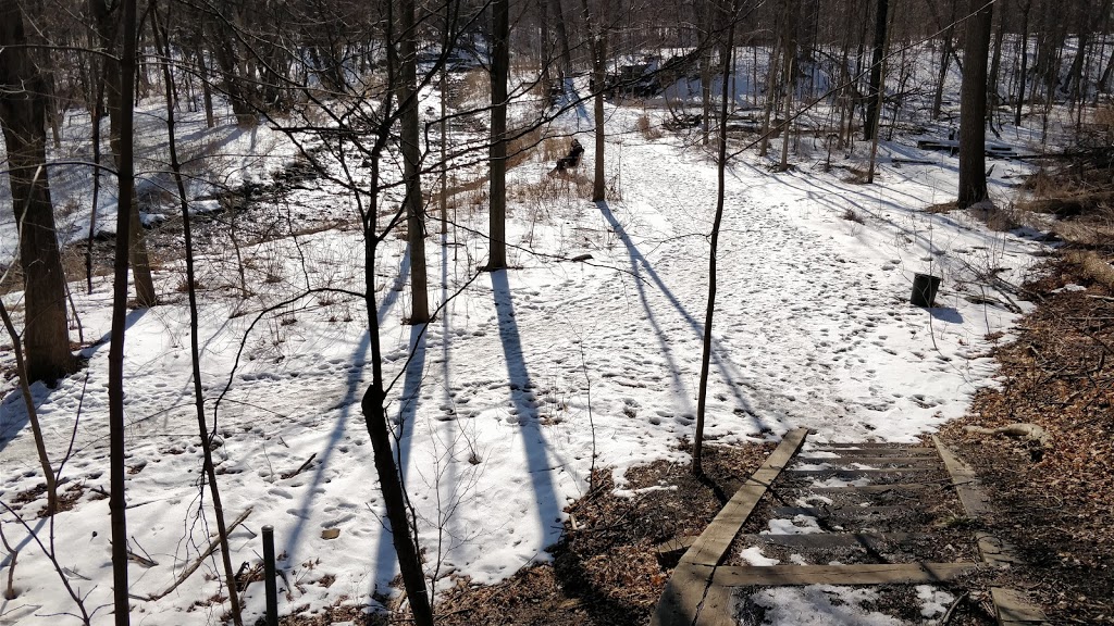 Sawmill Creek | 302 City Centre Dr, Mississauga, ON L5L 3A5, Canada