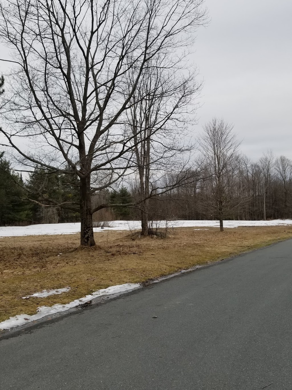 Rest Area | Newport, VT 05855, USA